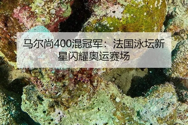 马尔尚400混冠军：法国泳坛新星闪耀奥运赛场